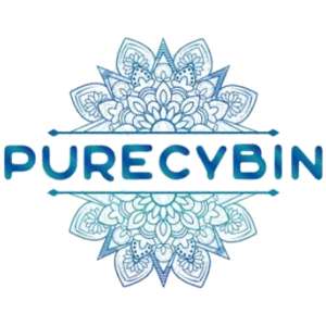 PureCybin DMT Carts